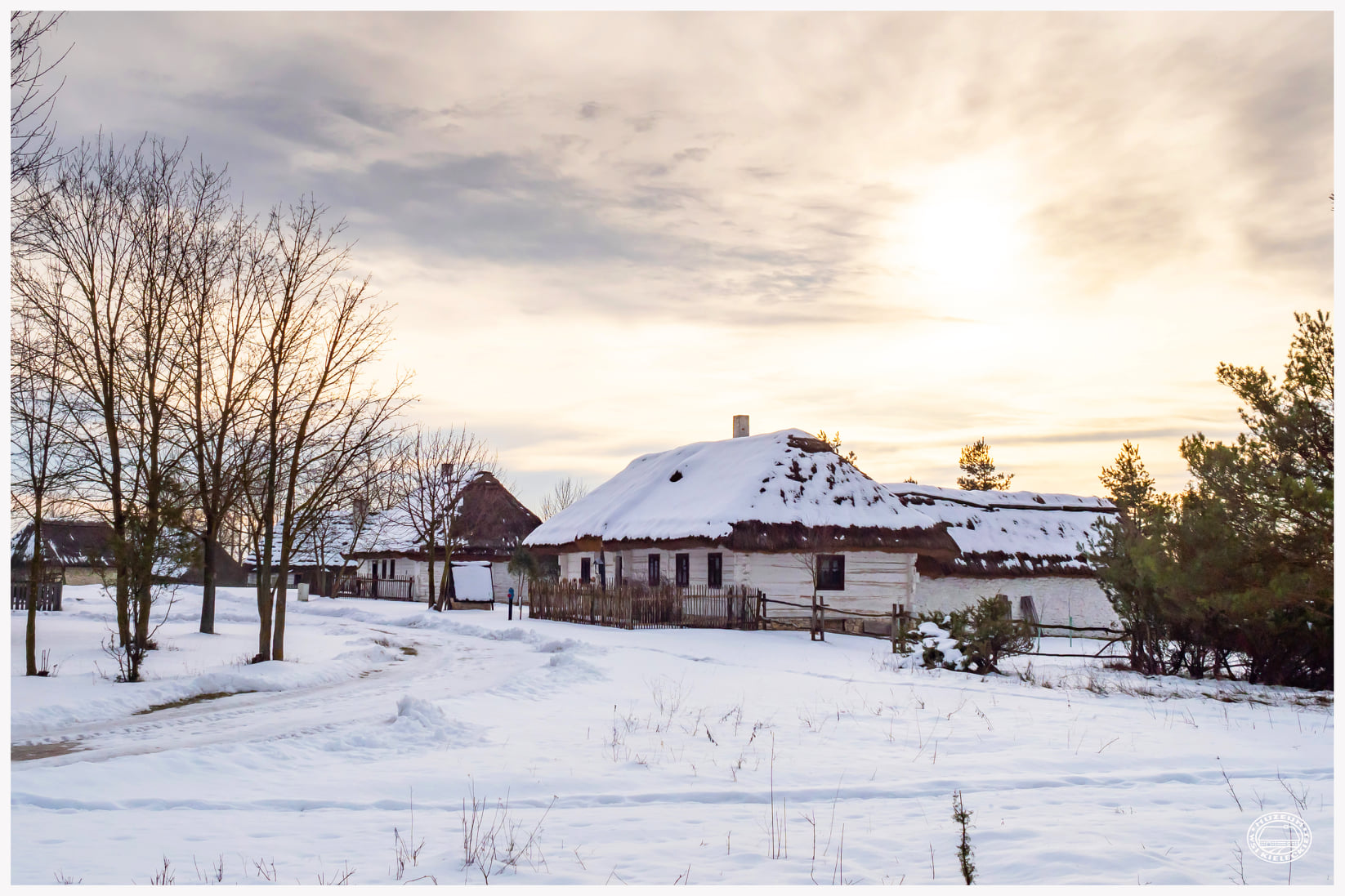 143483765 3849228321808500 6885617678968606575 o