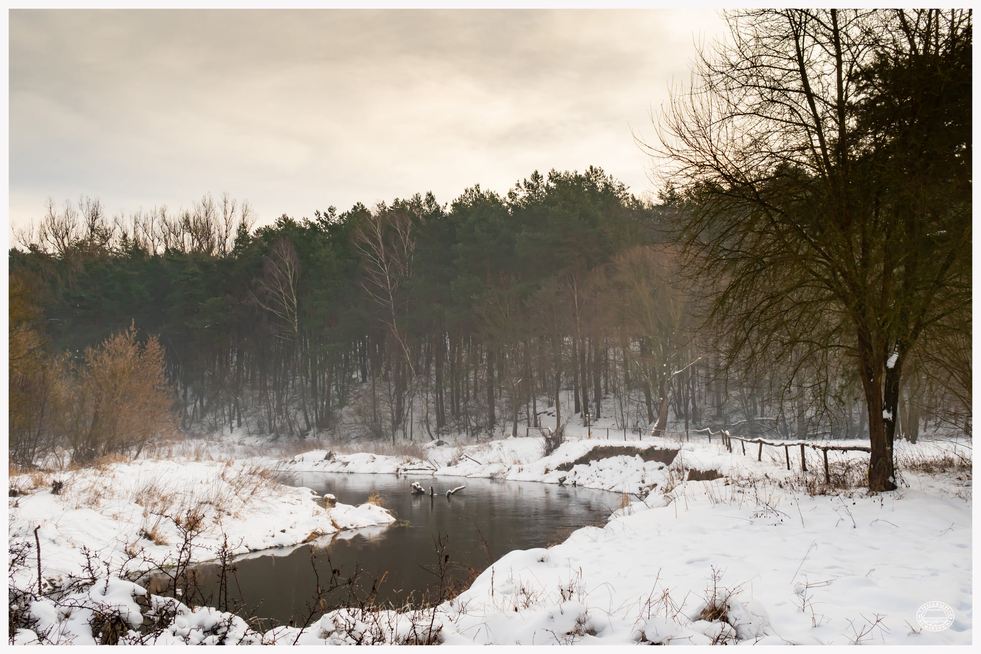 143520331 3849229361808396 5176678532579479279 o