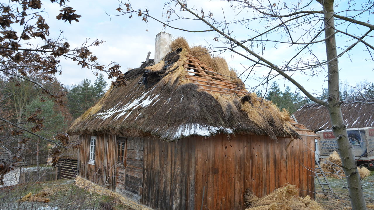 6566995F 6AE1 4F69 BFFA 6501C258F759