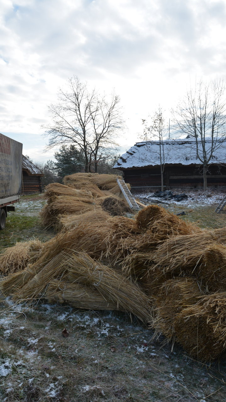 EEC531A7 F64E 4447 A64A 79700784EF30