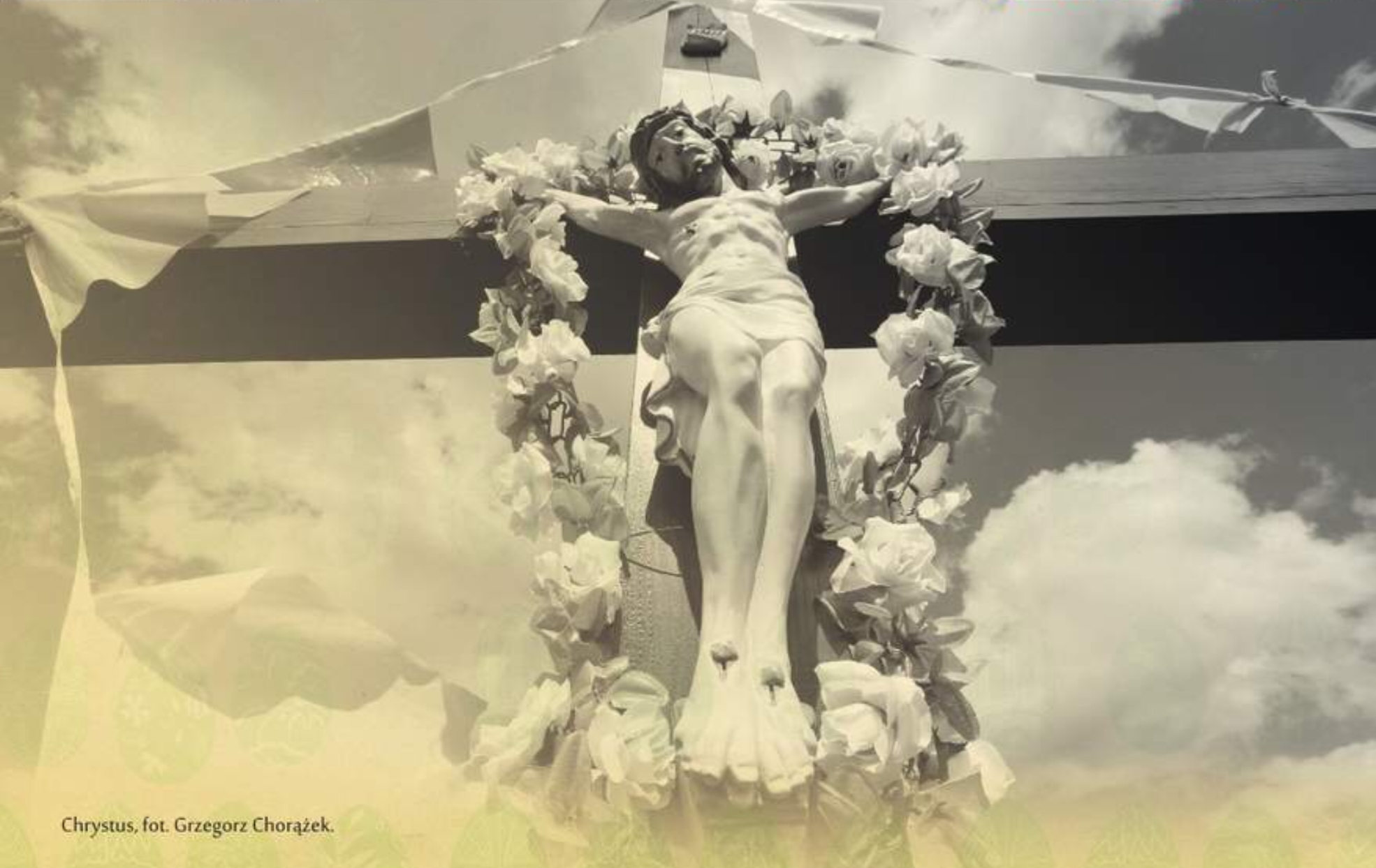 8FE63151 2720 439C B7FB 9B6E3F8FF305