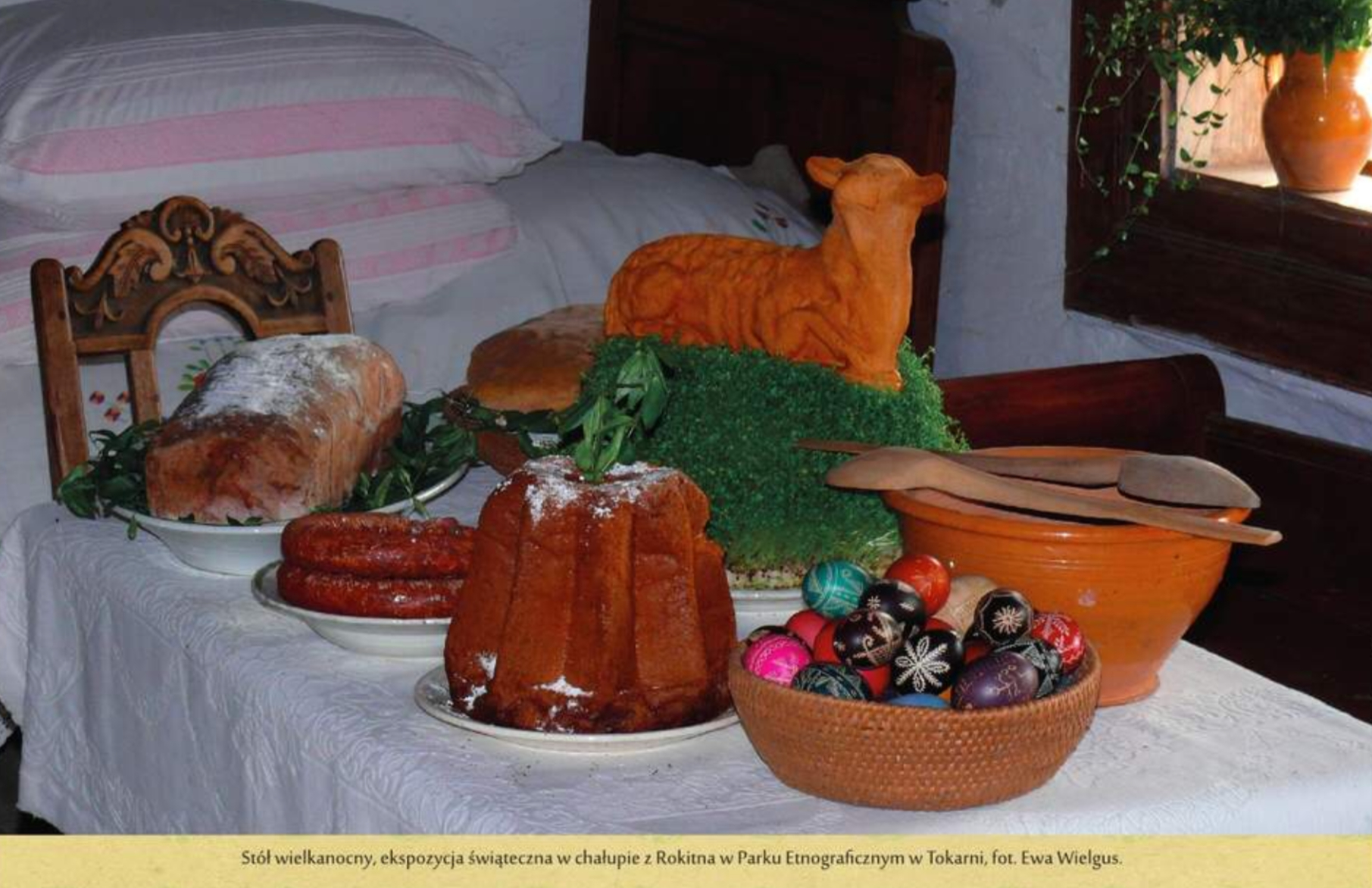 C79DAED5 173C 4CCB AEE7 19E51D17019A