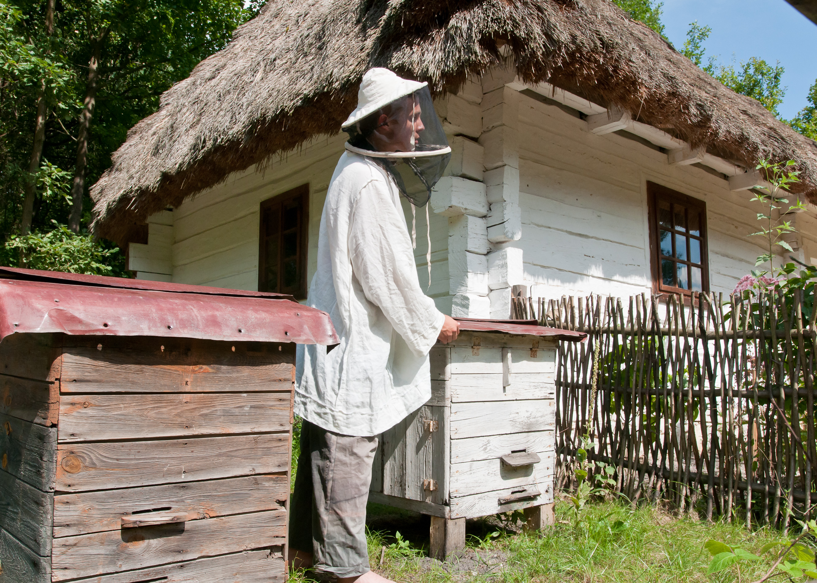 DCS 6836 fot.M.Łężniak