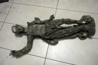 EM581615 (Large)