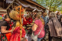 IMG_2310
