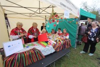 IMG_3828 (Duże)