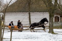 Sami Swoi. Początek (18)