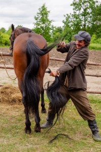 Sami Swoi. Początek (41)