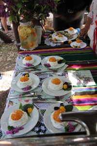 IMG_5020