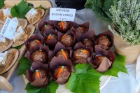 Festiwal Sukot (1)