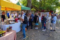 Festiwal Sukot (10)