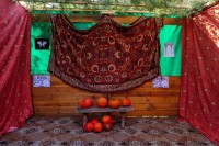 Festiwal Sukot (20)