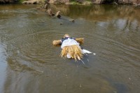 MWK-  fot. Mariusz Łężniak 045